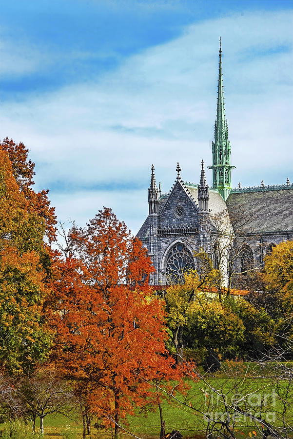 Fall Foliage And The Cathedral Basilica Of The Sacred Heart Photograph
