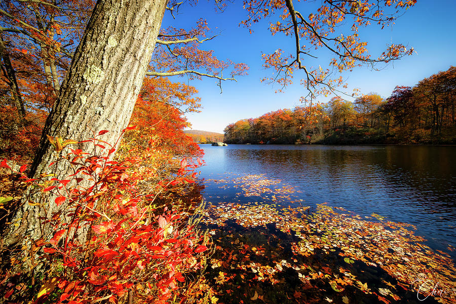 Fall Foliage at Lake Kanawauke Photograph by Cheri Freeman