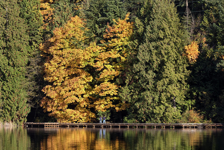 Fall Foliage at Sasamat Lake Photograph by Michael Russell