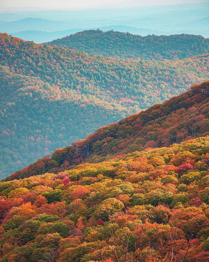 Fall Foliage at Shenandoah Mountain National Park, Virginia Photograph