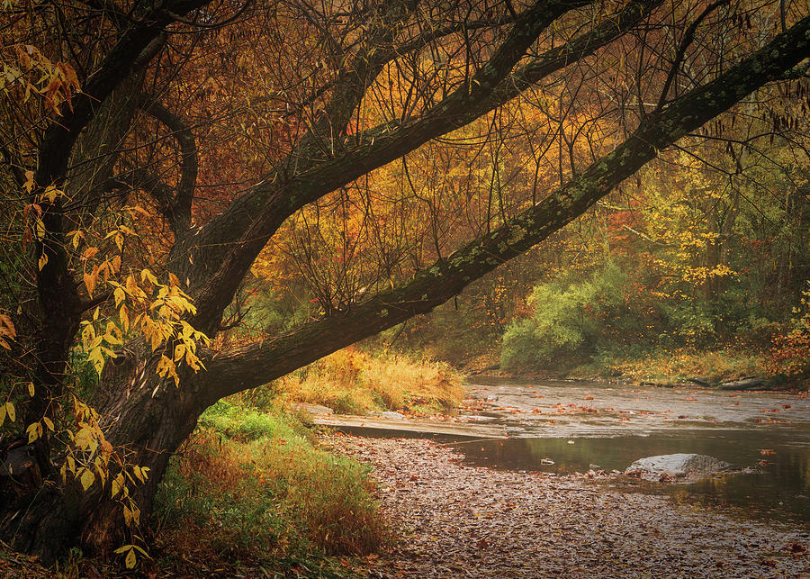 Fall Foliage Banks of the Jordan Creek Photograph by Jason Fink