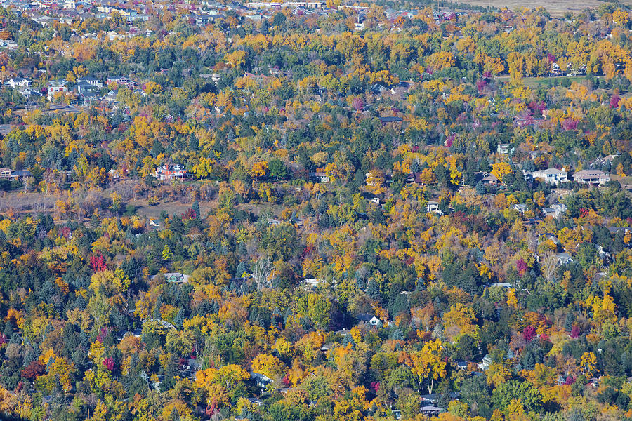 Tree Photograph - Fall Foliage Boulder Colorado by James BO Insogna
