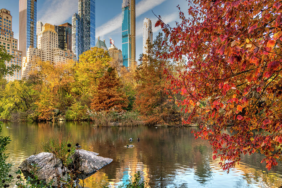 Fall foliage, Central Park, Manhattan, New York, USA Photograph by