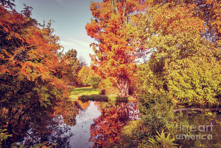 Fall Photograph - Fall foliage reflecting in a pond by Delphimages Photo Creations