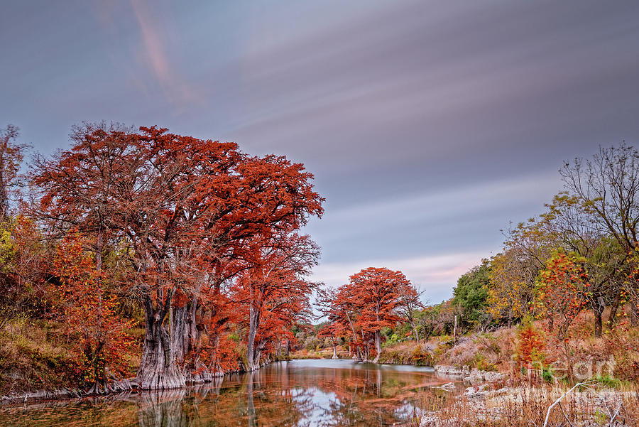 Fall Foliage Explosion along the Guadalupe River - Spring Branch Canyon Lake Texas Hill Country Photograph by Silvio Ligutti