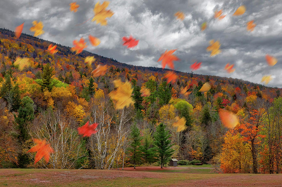 Fall Foliage Fun In NY Photograph by Susan Candelario