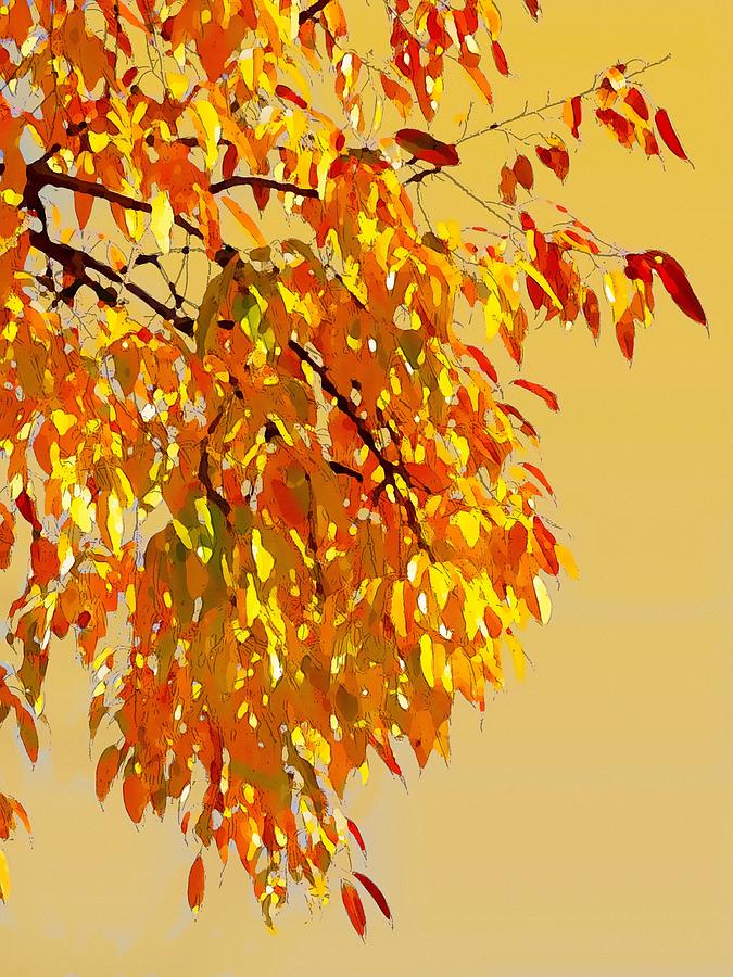 Fall Foliage Photograph by George Harth
