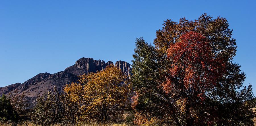 Fall Foliage in Front of Sawtooth Mountain Photograph by Renny Spencer