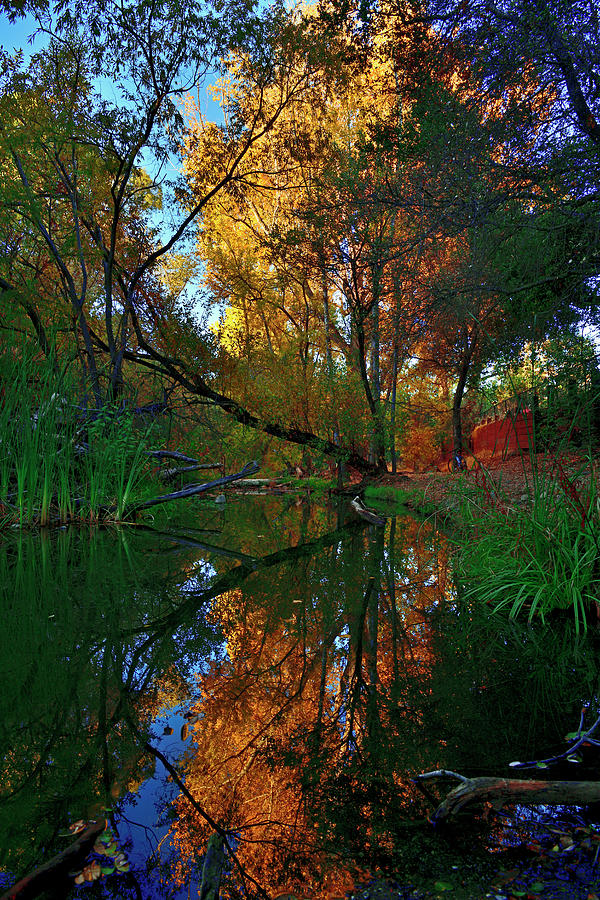 Fall Foliage in Los Gatos Creek Photograph by Amazing Action Photo Video