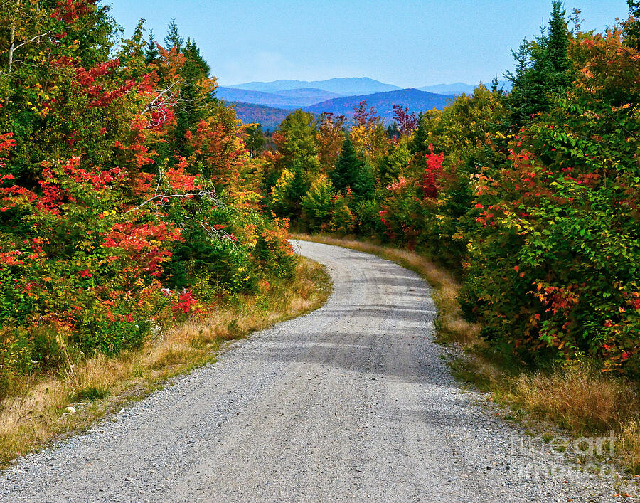 Fall Foliage in New Hampshire Photograph by Steve Brown
