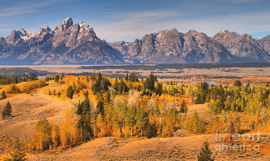 Fall Foliage In The Teton Valley Photograph by Adam Jewell