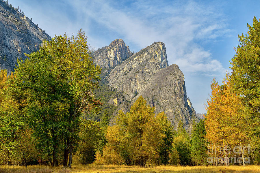 Fall Foliage in Yosemite National park Photograph by Amazing Action Photo Video