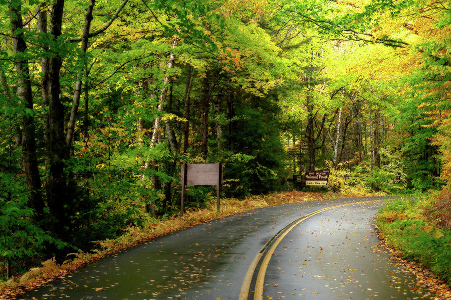 Fall Foliage on a Scenic New Hampshire Road I Photograph by William Dickman