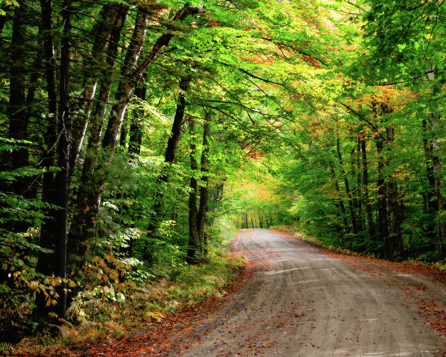 Fall Foliage on a Scenic New Hampshire Road II Photograph by William Dickman