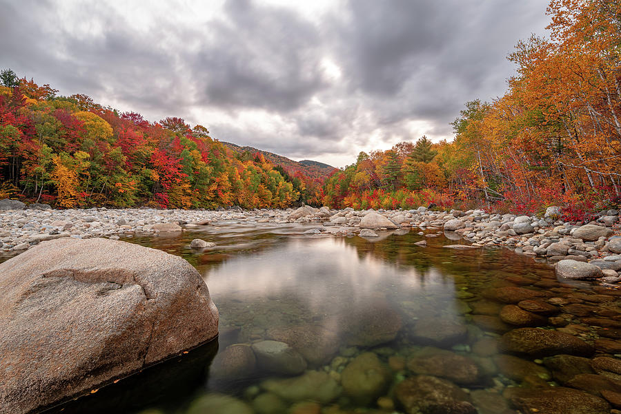 Fall Foliage on the East Branch Pemigewasset River I Photograph by William Dickman