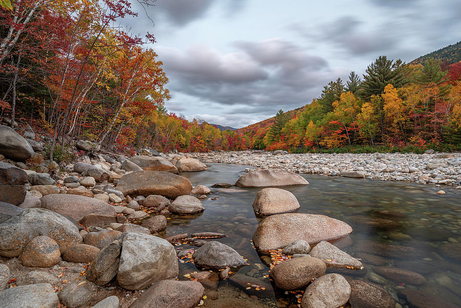 Fall Foliage on the East Branch Pemigewasset River III Photograph by William Dickman