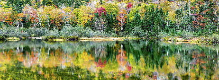 Fall foliage panorama in Crawford Notch, State Park, NH Photograph by Mihai Andritoiu
