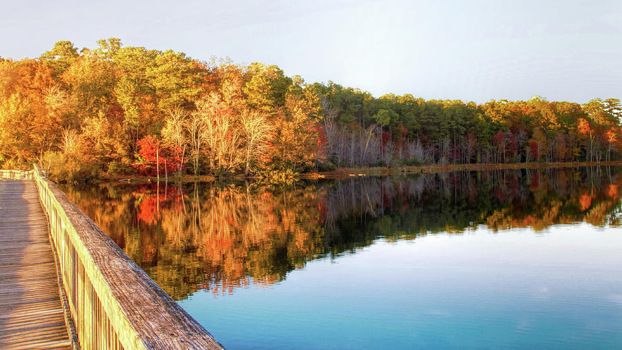 Fall Foliage Reflections in Newport News Park  Photograph by Ola Allen