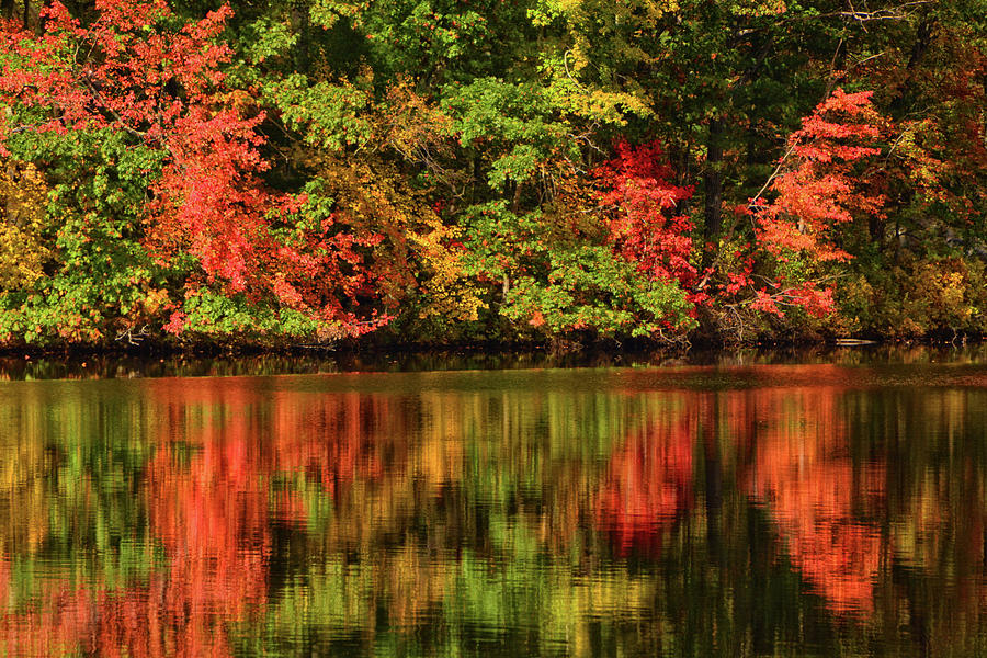 Fall Foliage Reflections Photograph by Mike Martin