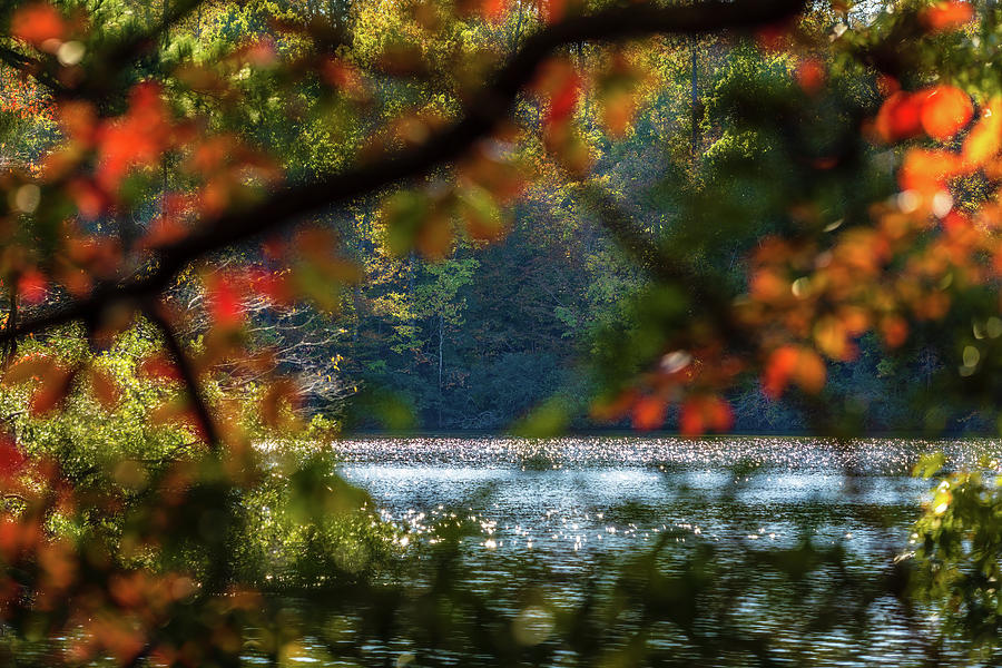 Fall Foliage Window Photograph