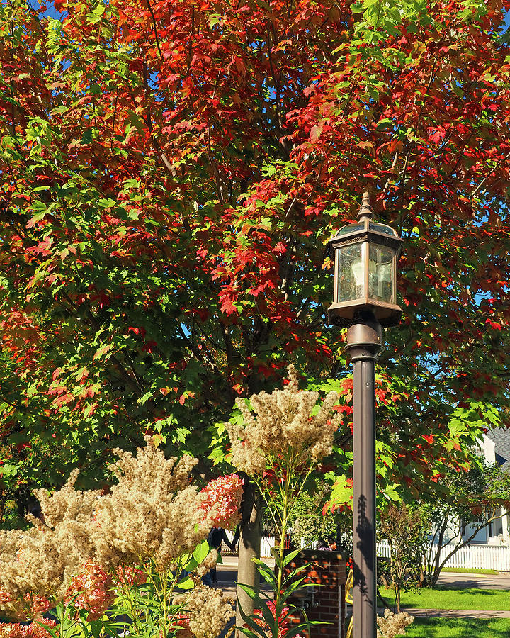 Fall Foliage with Lamp on Mackinac Island Photograph by Bill Swartwout