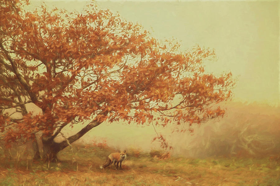 Fall Fox Painterly Version II Photograph by Carrie Ann Grippo-Pike