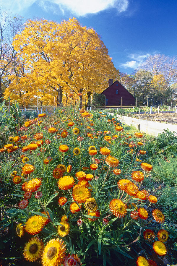 Fall Garden in Jockey Hollow Historic Park New Jersey Photograph by George Oze