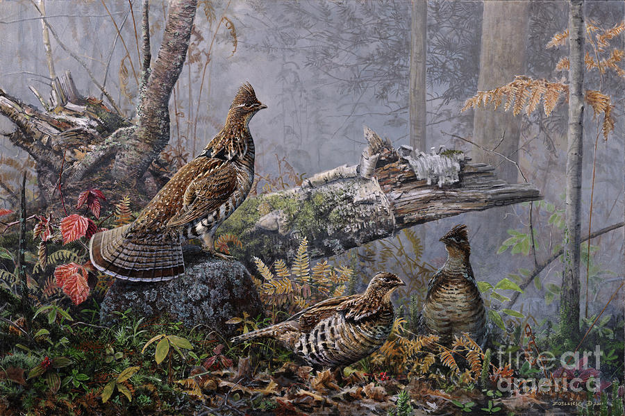 Fall Gathering Roughed Grouse Painting by Scott Zoellick