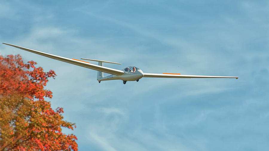 Fall Gliding Photograph by CR Courson
