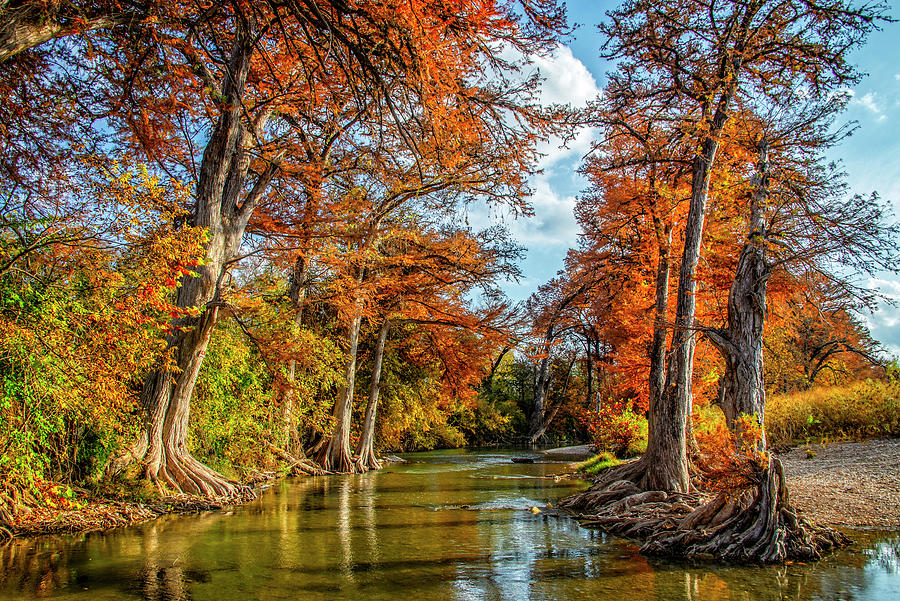 Fall Glory at James Kiehl River Bend Park Photograph by Lynn Bauer