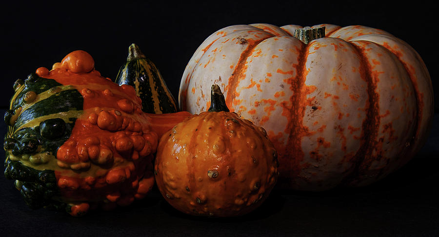 Fall Gourds And Pumpkin Photograph