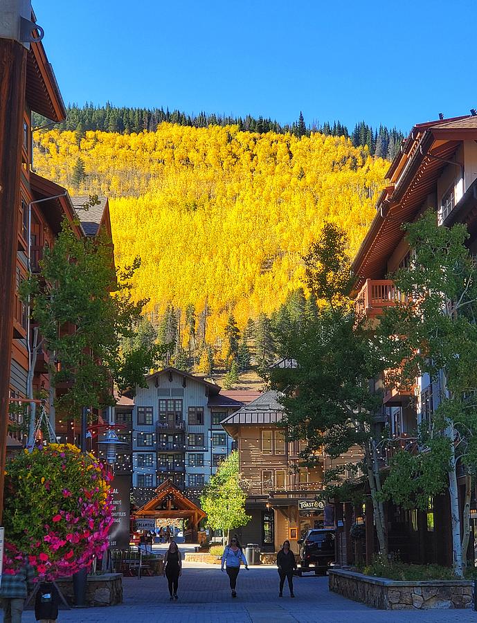 Fall has arrived at Copper Mountain Colorado  Photograph by Fiona Kennard