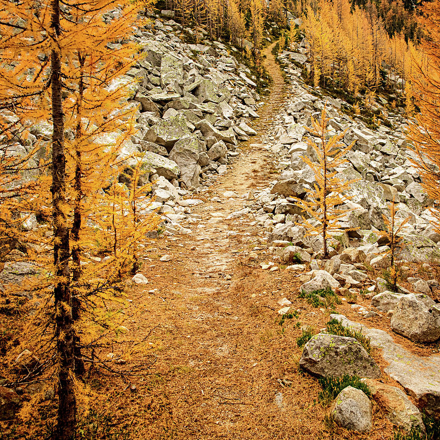 Fall Hike Photograph by Ursula Abresch