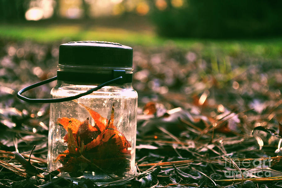Fall in a bottle Photograph by Samantha Paige Howard - Fine Art America