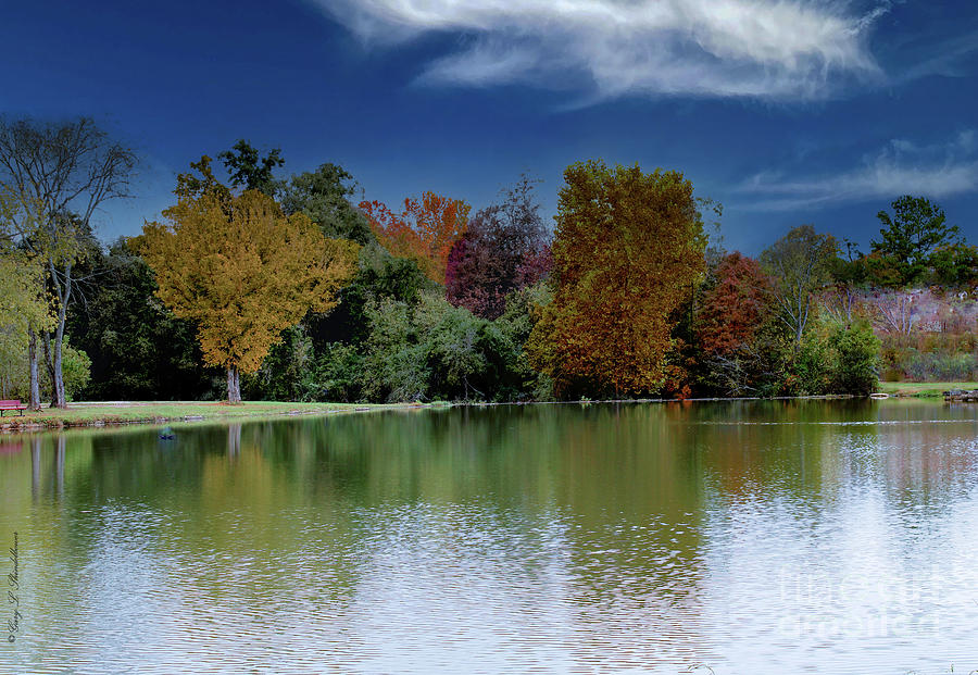 Fall In Aragon Georgia Photograph by Gary Shindelbower - Fine Art America