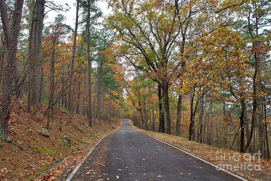 Fall in Arkansas Photograph by Yvonne M Smith