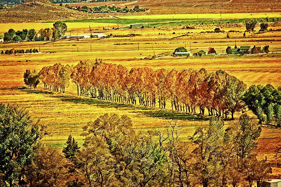 Fall In Carson Valley Digital Art by David Desautel