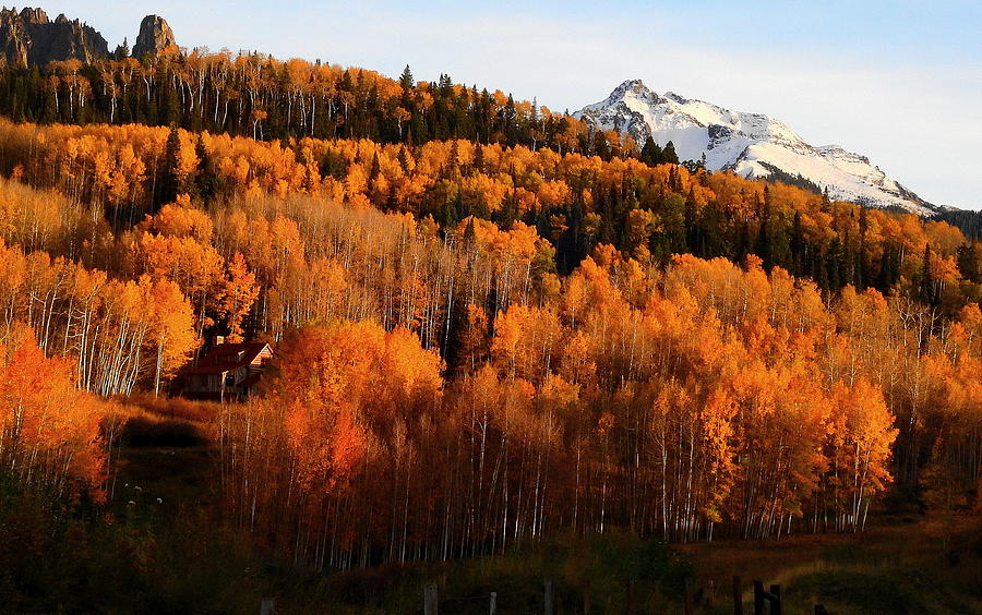 Fall in Colorado Photograph by Charlotte Schafer