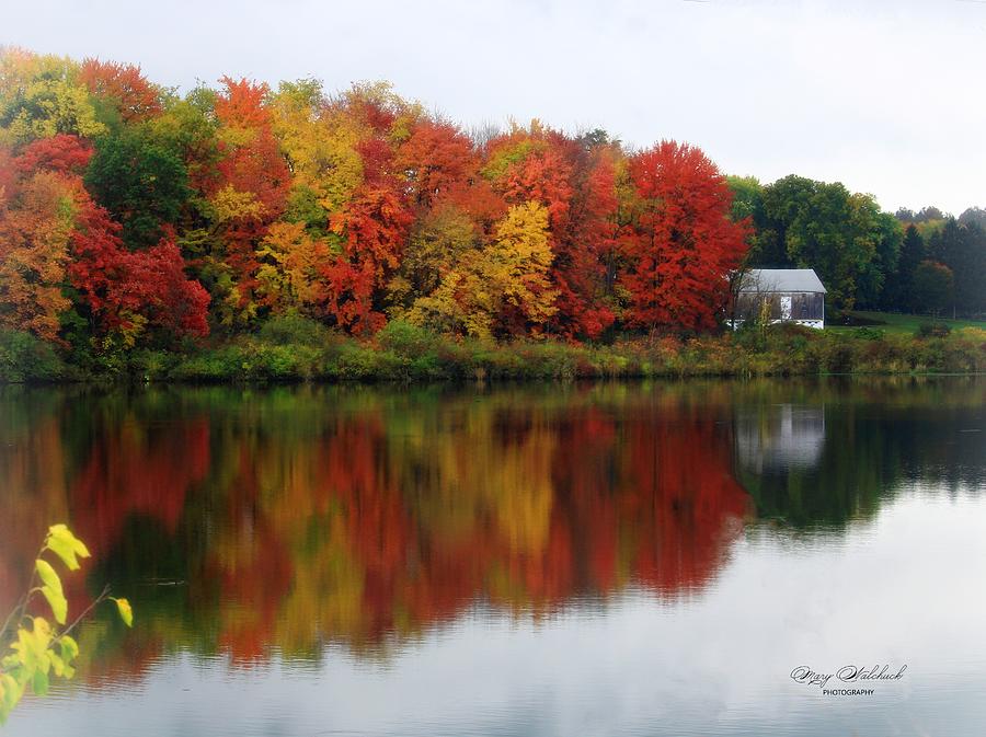 Fall in Ohio Photograph by Mary Walchuck