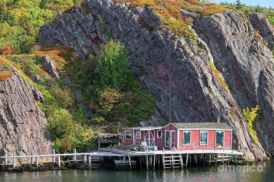 Fall in Quidi Vidi, St. Johns, Newfoundland Photograph by Martyn Arnold