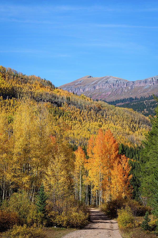 Fall in Rocky Mountains - Colorado Photograph by Alex Mironyuk