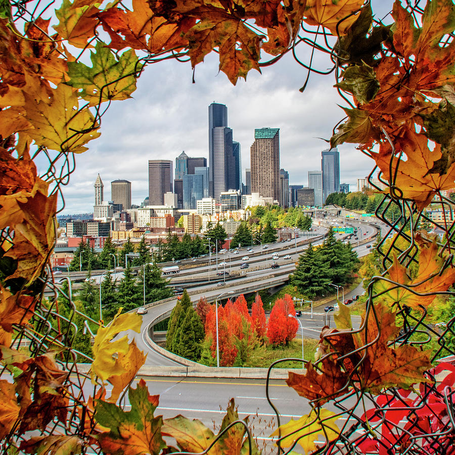 Fall In Seattle Photograph by Matt McDonald
