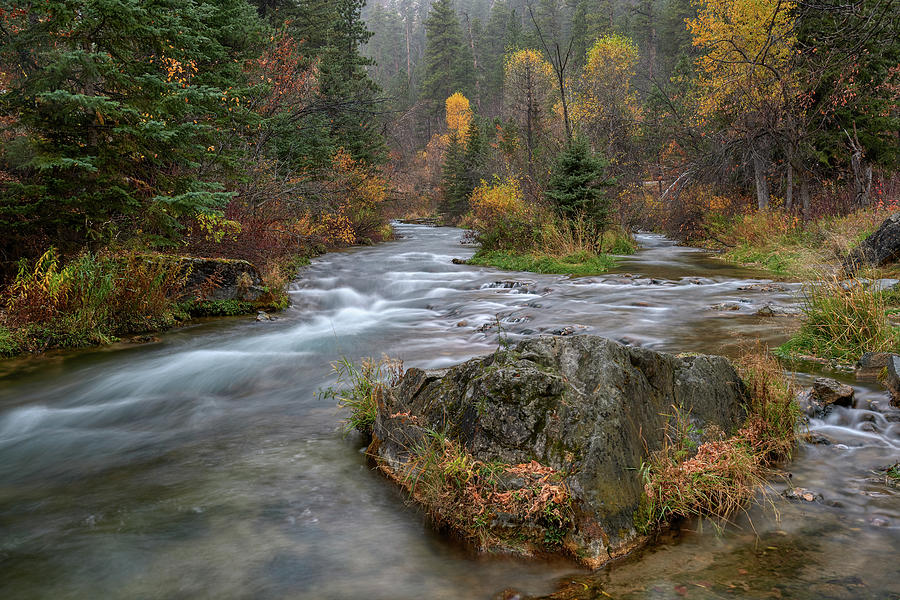Transportation Photograph - Fall in Spearfish Canyon by Paul Freidlund