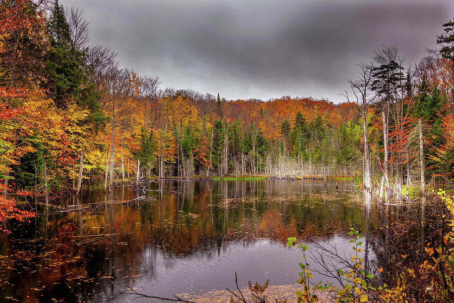 Fall in the Adirondacks Photograph by David Patterson