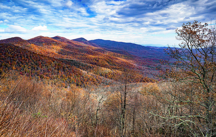 Fall in the Blue Ridge Photograph by Lisa Spencer
