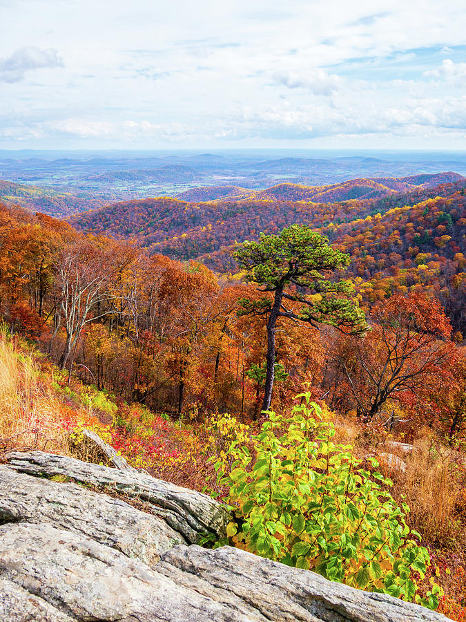 Fall in the Blue Ridge Photograph by Rachel Morrison