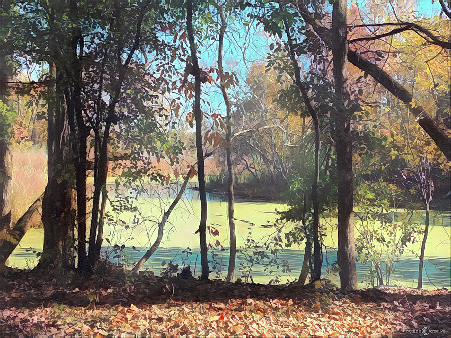 Fall in the Marsh Photograph by Tim Nyberg Fall in the Marsh Photograph by Tim Nyberg