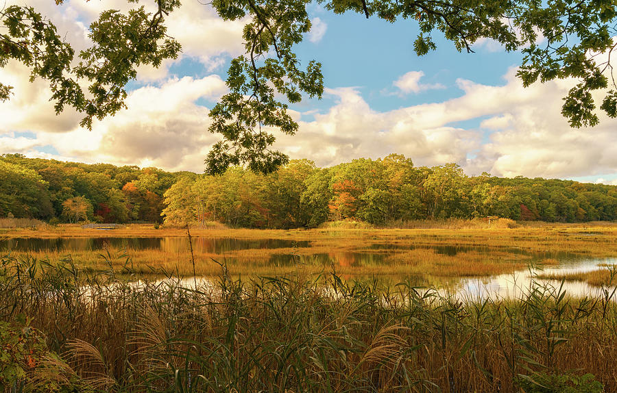 Fall in the Marshland Photograph by Marianne Campolongo