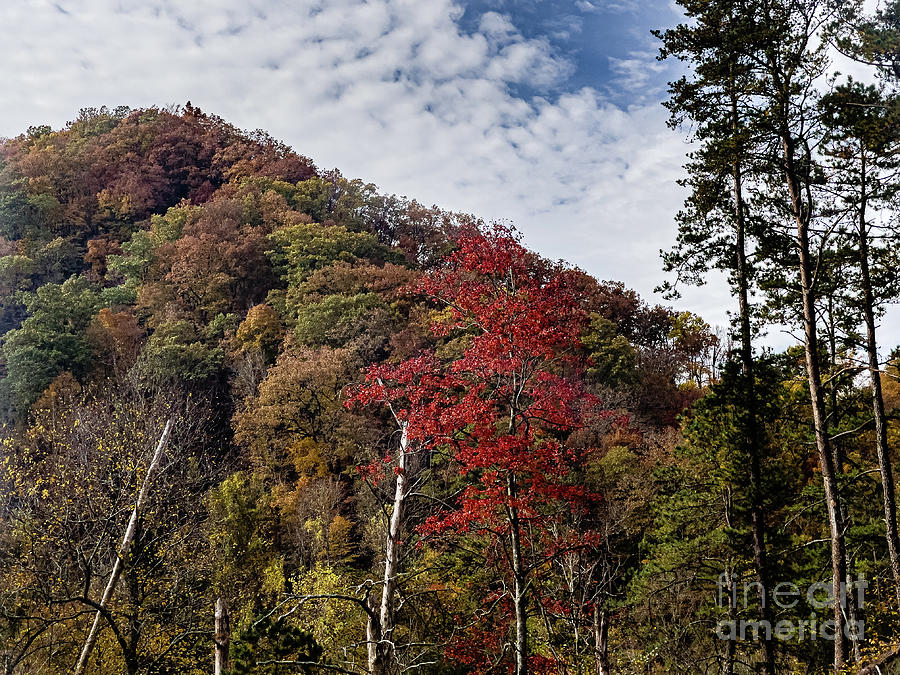 Fall Photograph - Fall in the Mountains by Edward Sobuta