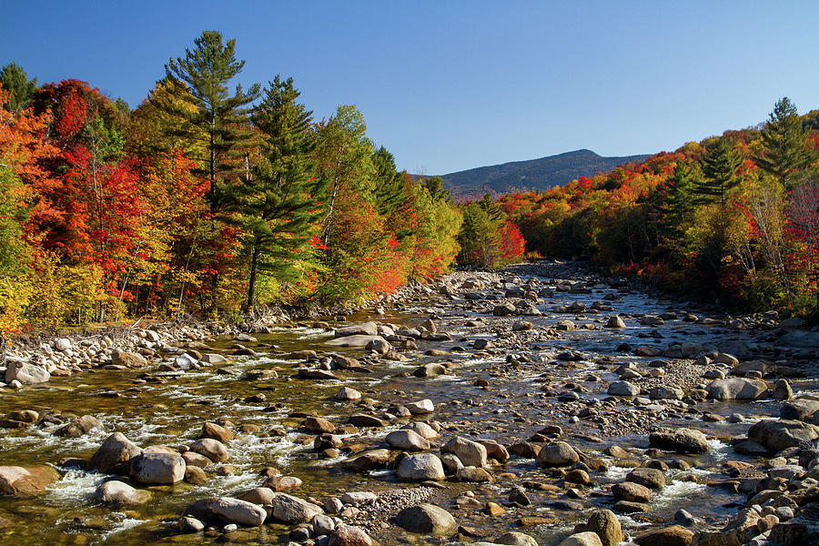 Fall in the mountains of New Hampshire Photograph by NorthEast Creativity Fall in the mountains of New Hampshire Photograph by NorthEast Creativity
